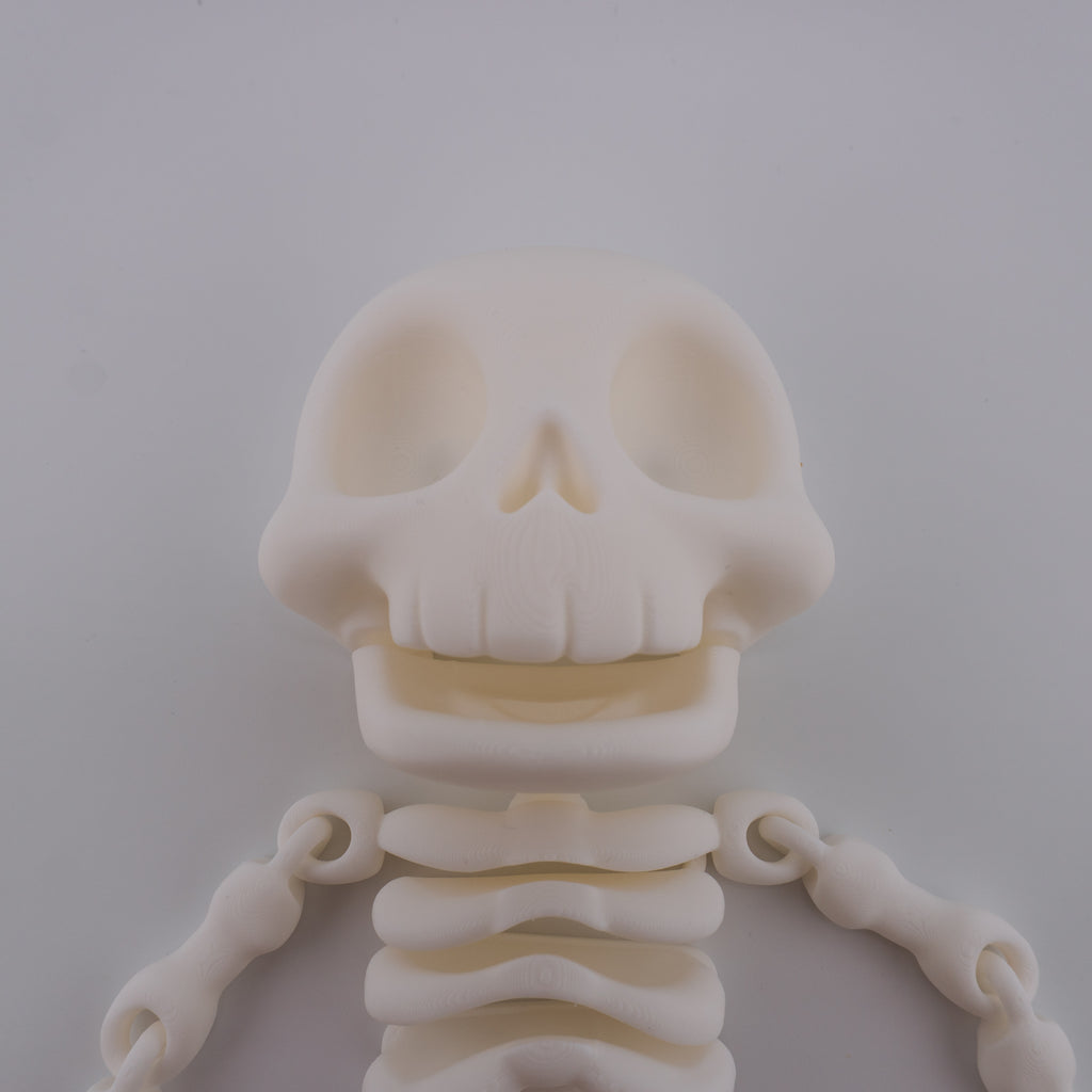 Flexi Skeleton – Bouncy Articulated Figure | 3D Printed Toy