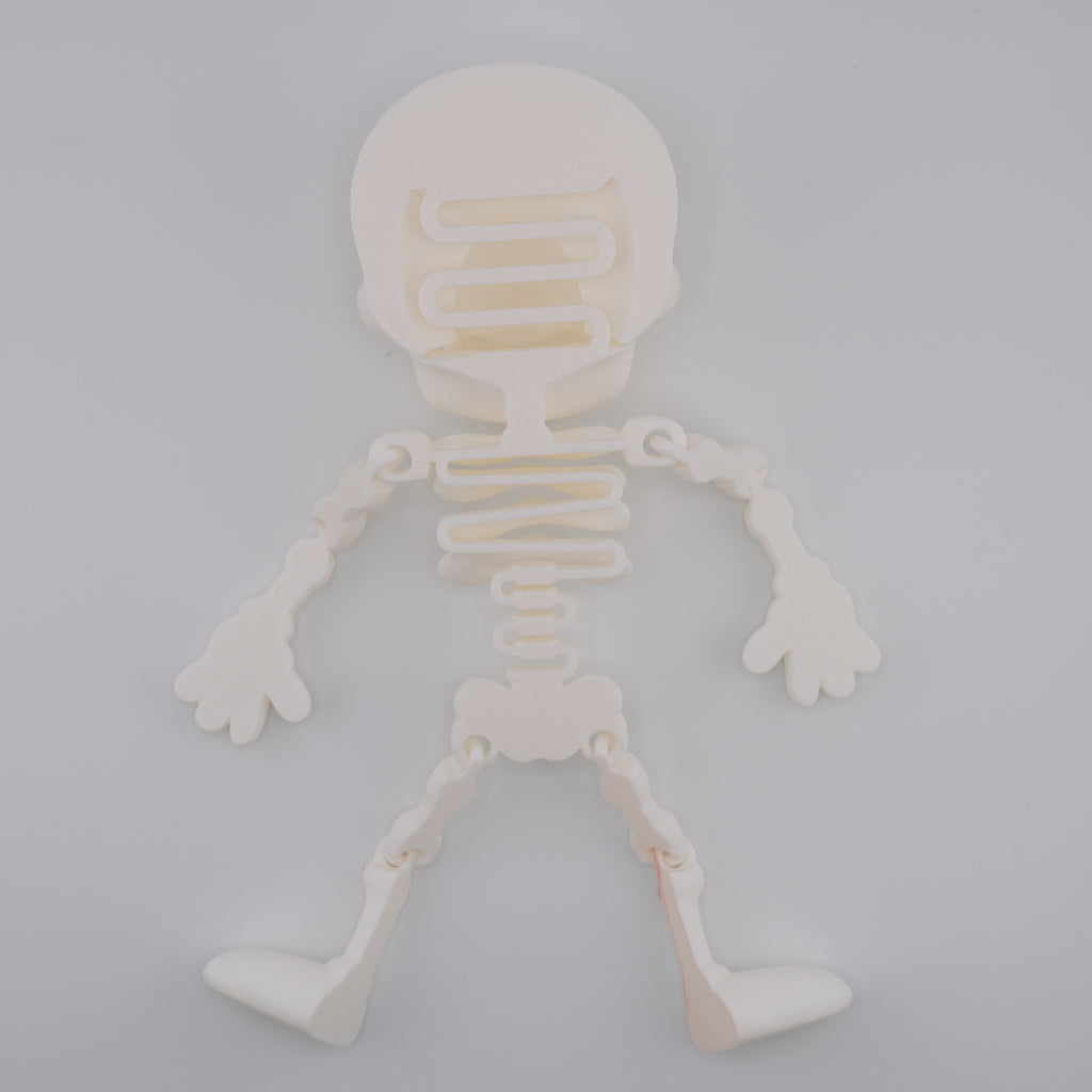 Flexi Skeleton – Bouncy Articulated Figure | 3D Printed Toy