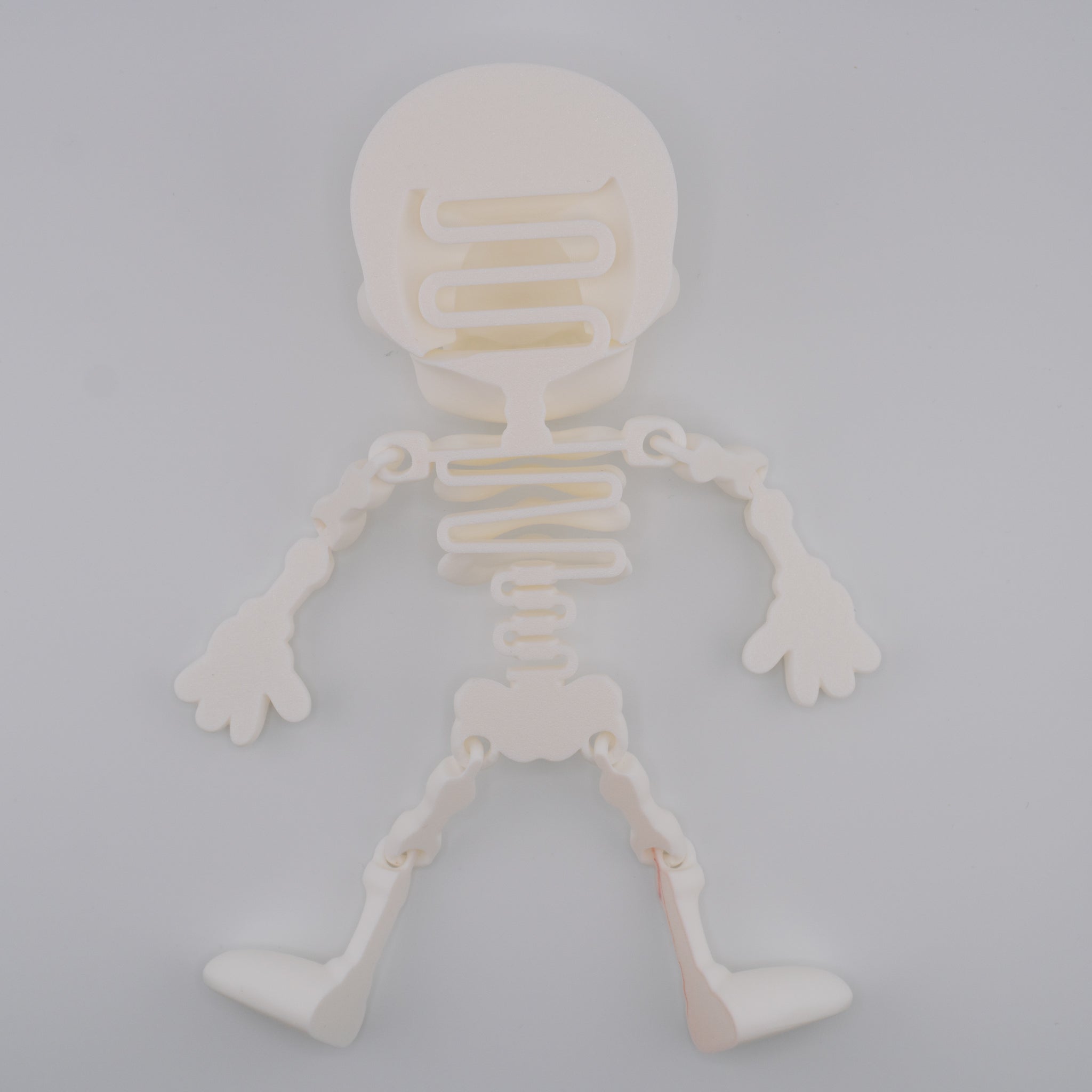 Flexi Skeleton – Bouncy Articulated Figure | 3D Printed Toy