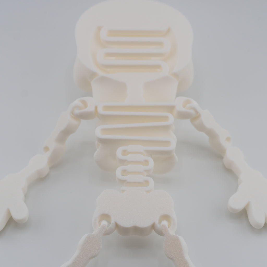 Flexi Skeleton – Bouncy Articulated Figure | 3D Printed Toy