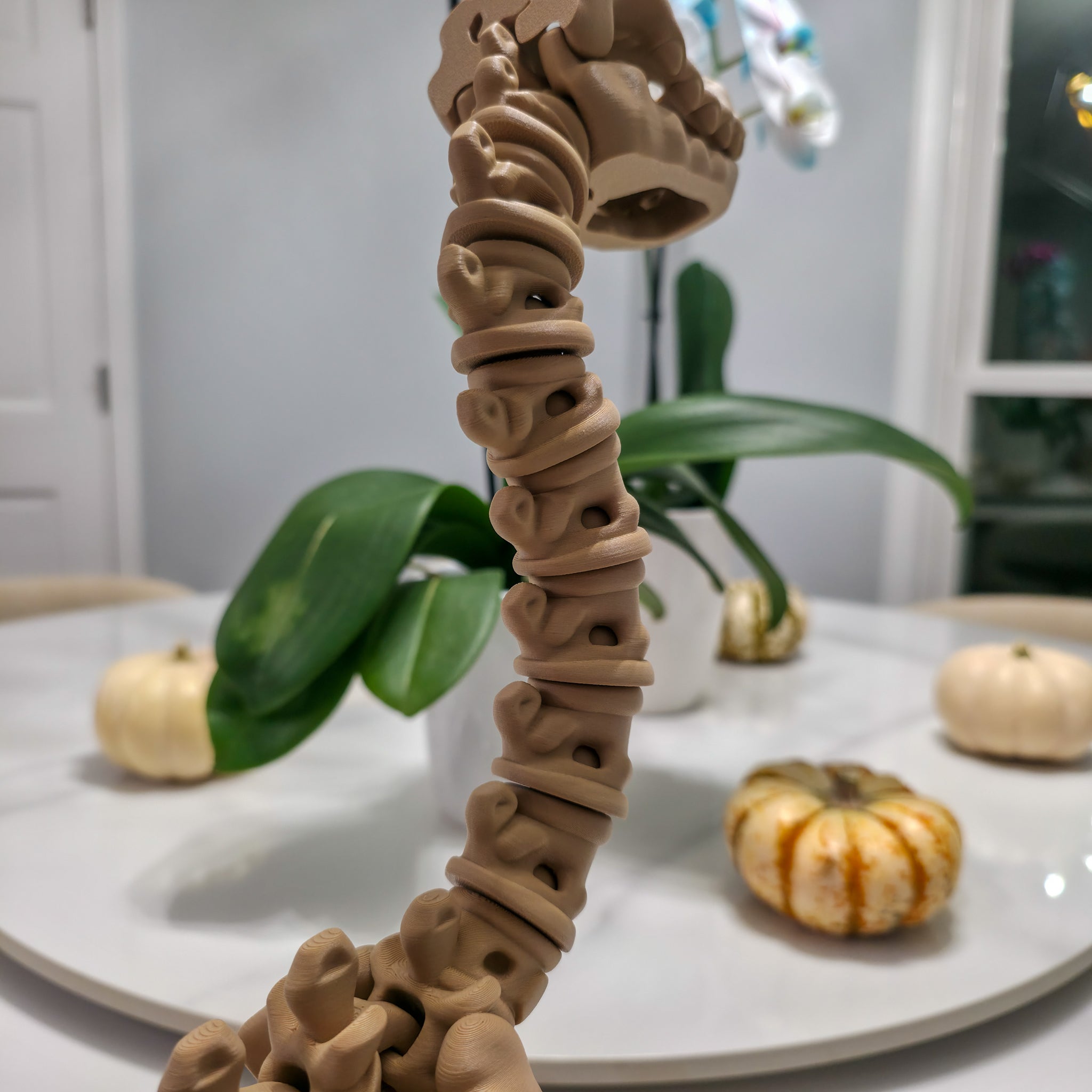 Flexi Skeleton Brachiosaurus | 3D Printed Fossil Collectible