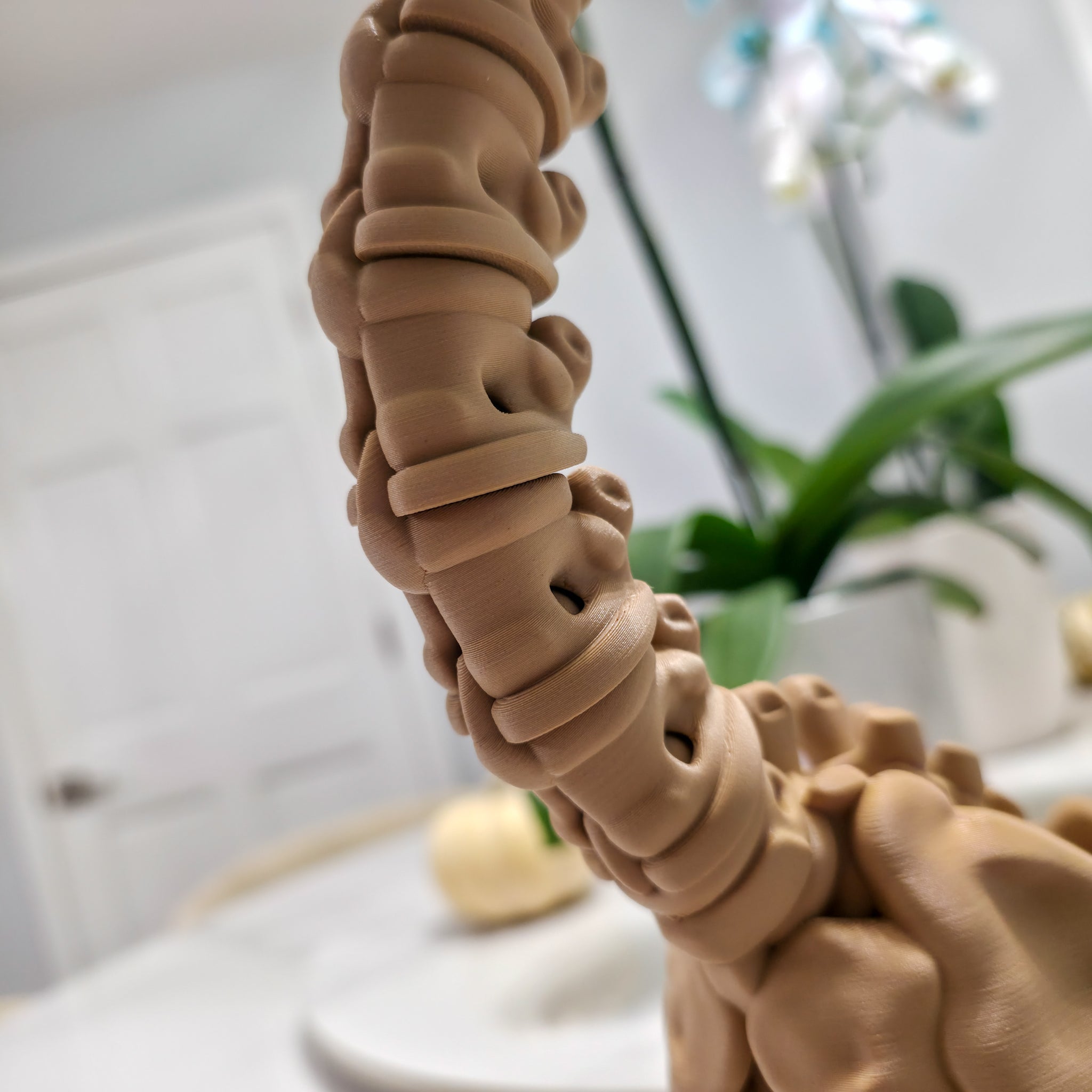 Flexi Skeleton Brachiosaurus | 3D Printed Fossil Collectible