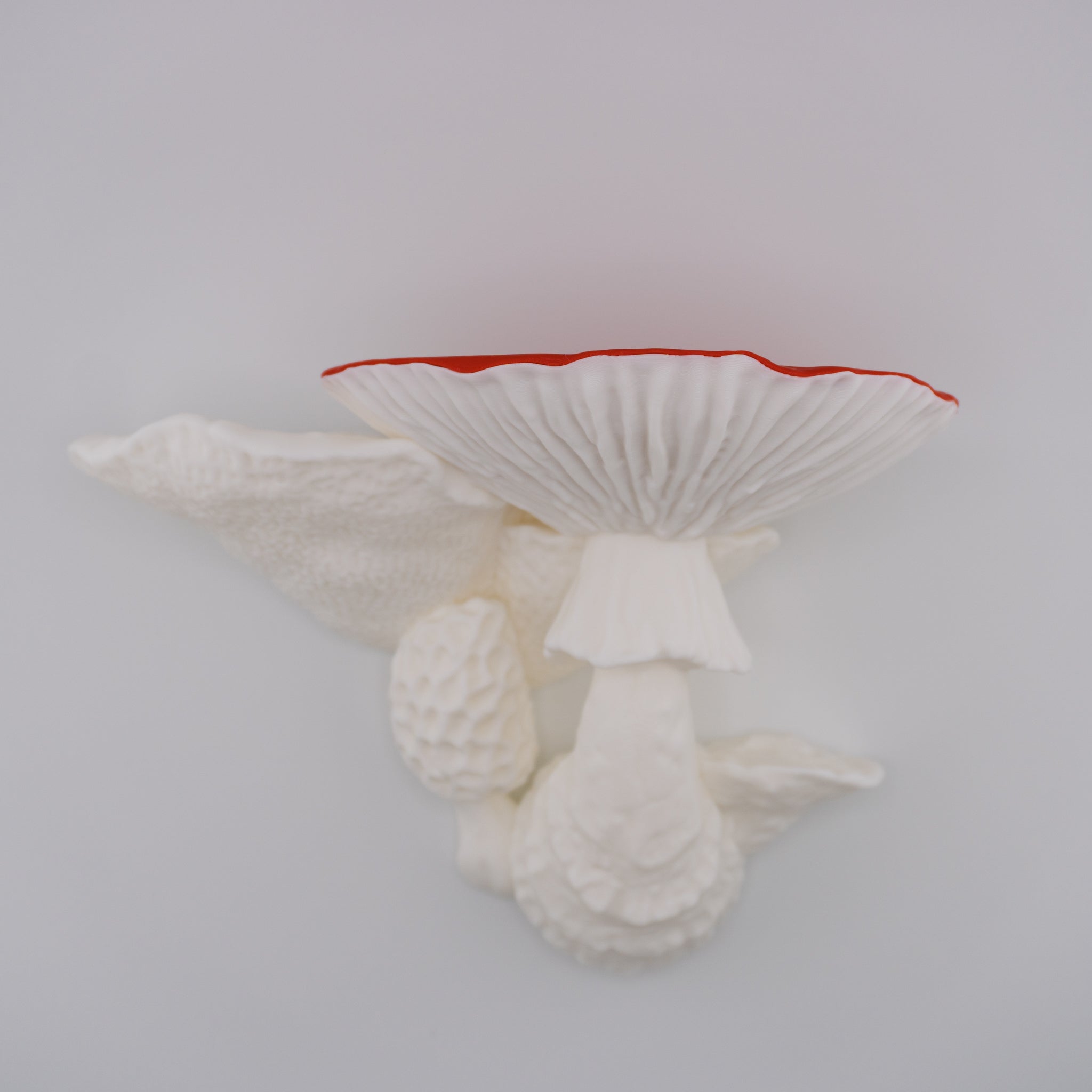 Mushroom Dragon – Articulated Fantasy Figure & Optional Mushroom Shelf Display | About 7.5" Long