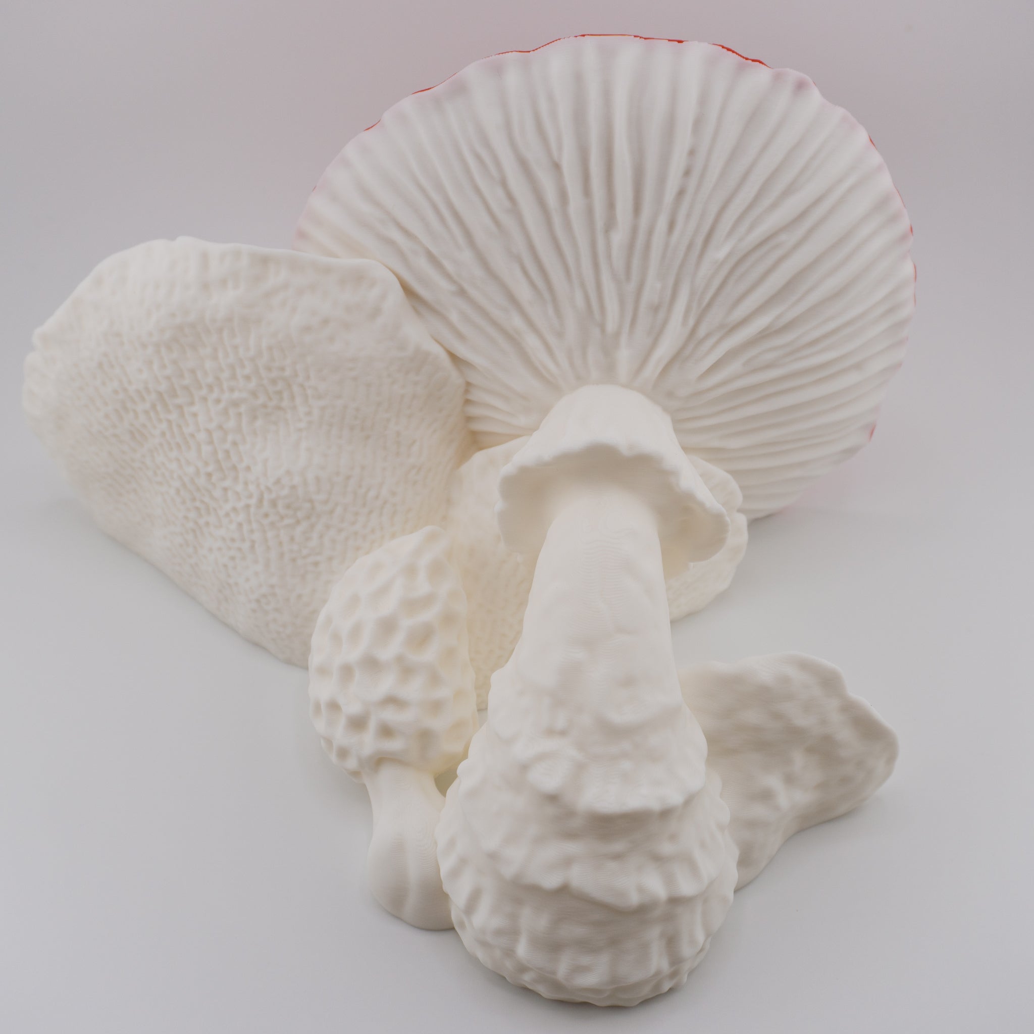 Mushroom Dragon – Articulated Fantasy Figure & Optional Mushroom Shelf Display | About 7.5" Long