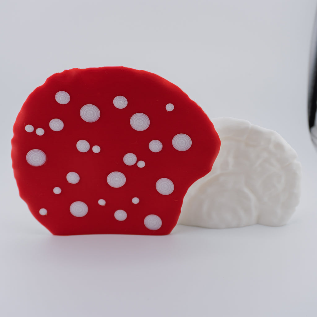 Mushroom Dragon – Articulated Fantasy Figure & Optional Mushroom Shelf Display | About 7.5" Long