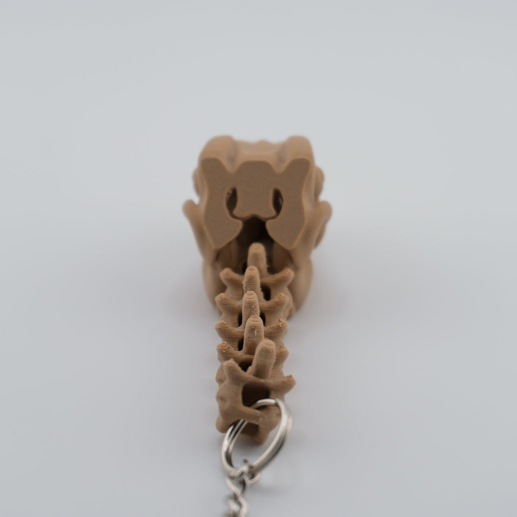 Skeleton Raptor Keychain | Mini Articulated Dino Fossil
