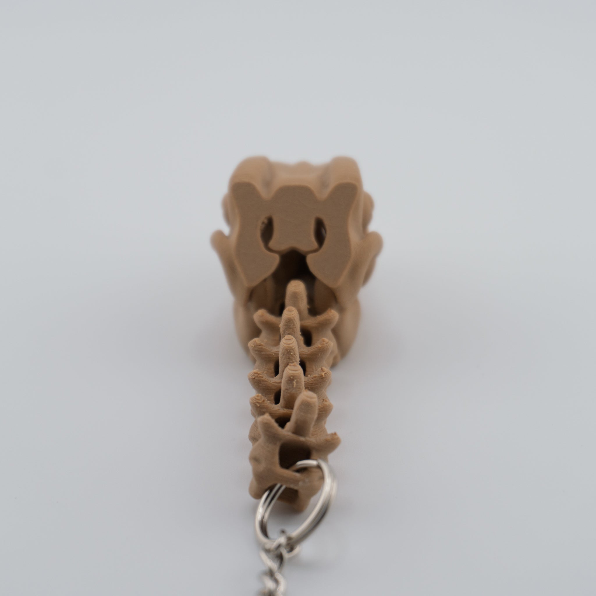 Skeleton Raptor Keychain | Mini Articulated Dino Fossil