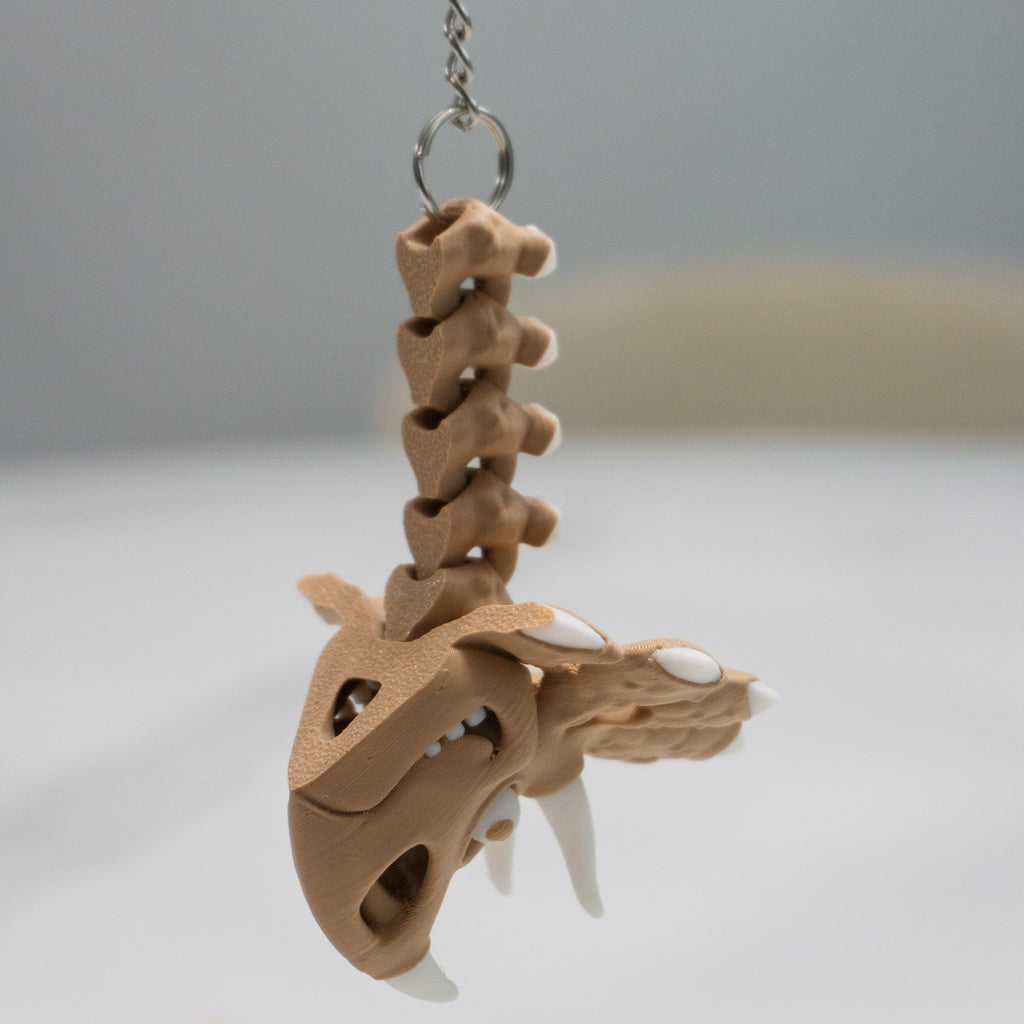 Triceratops Keychain | Articulated Dino Fidget Keychain