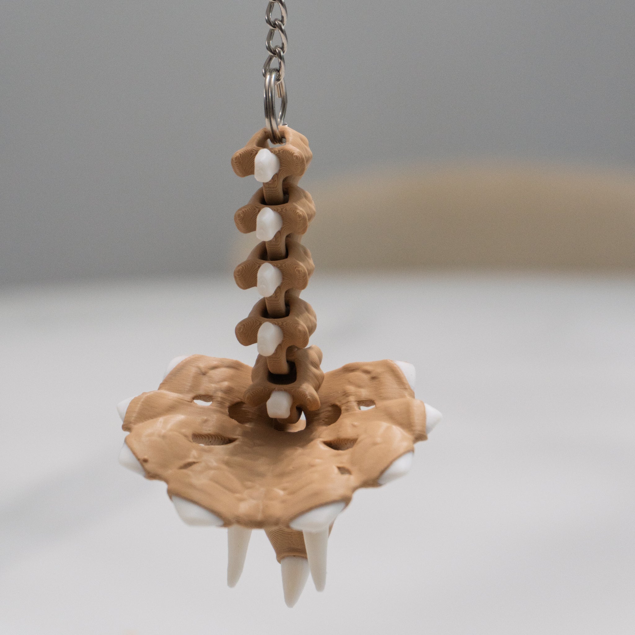 Triceratops Keychain | Articulated Dino Fidget Keychain