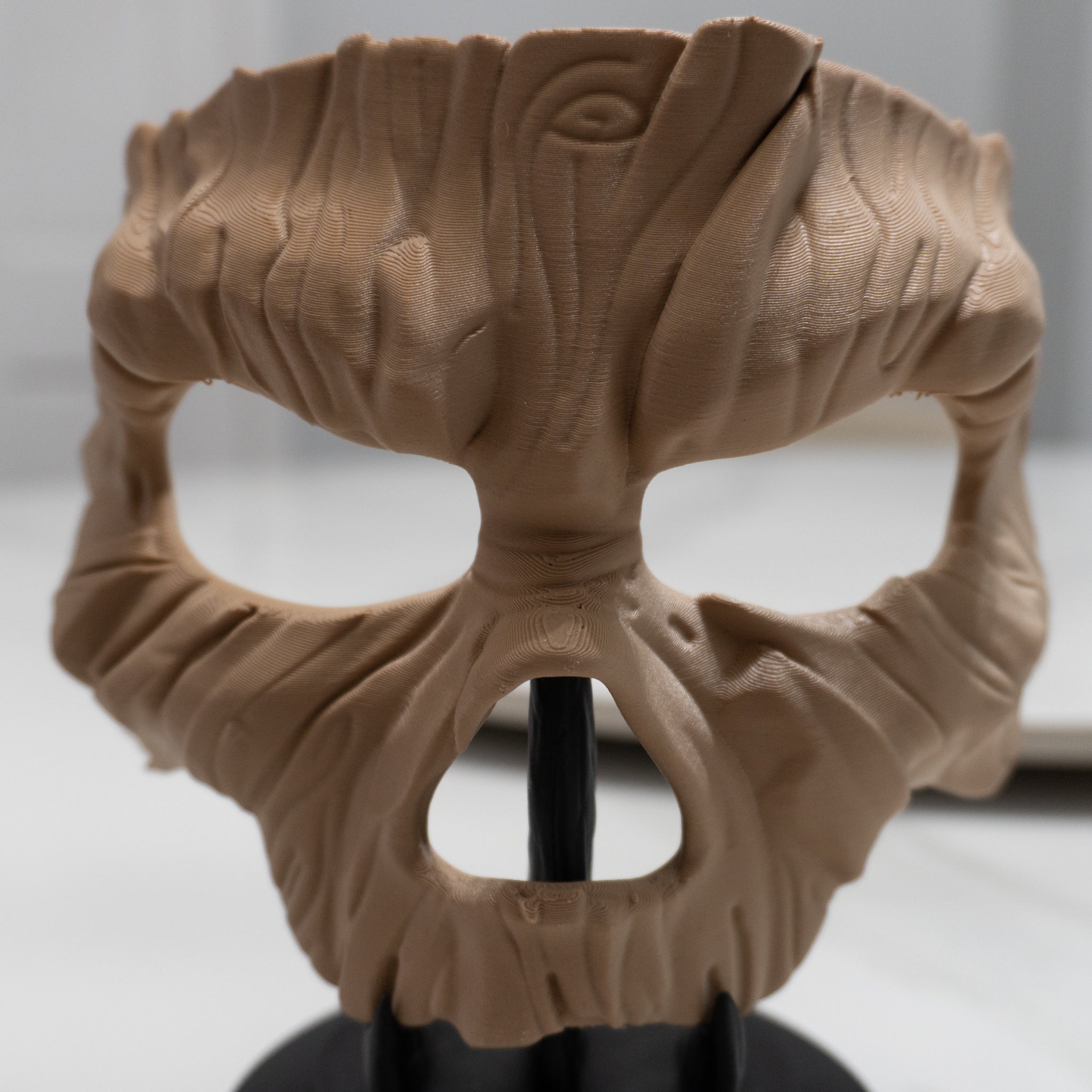 Wooden Spirit Mask | Wearable Forest Face with Stand